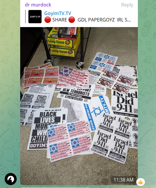 A picture of Nazi flyers shared into the private GDL Telegram chat